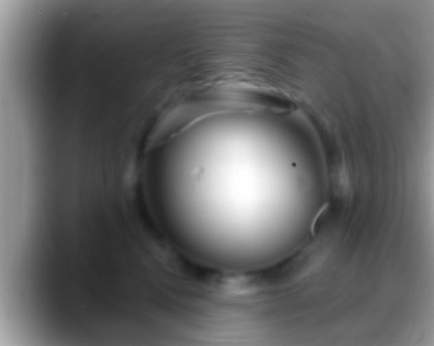 X0000088630472200706011148