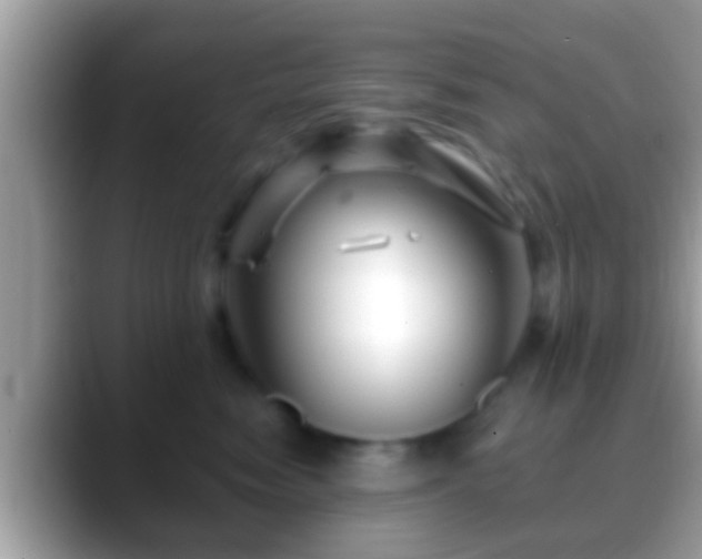 X0000088630474200706011148