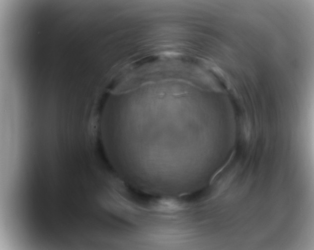 X0000088630475200706011148