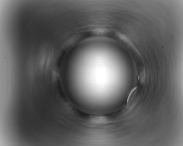 X0000088630476200706011148