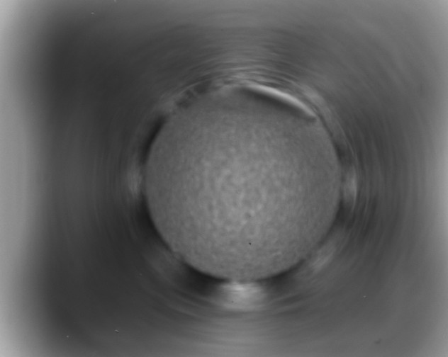 X0000088630477200706011148