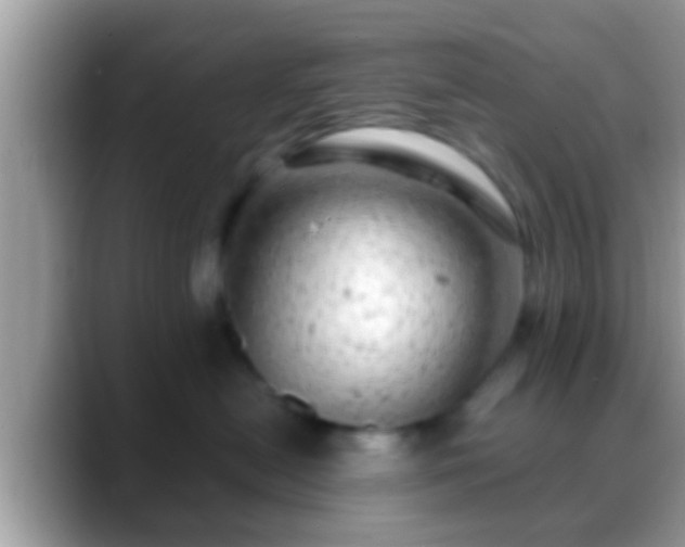 X0000088630478200706011148