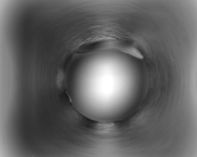 X0000088630480200706011148