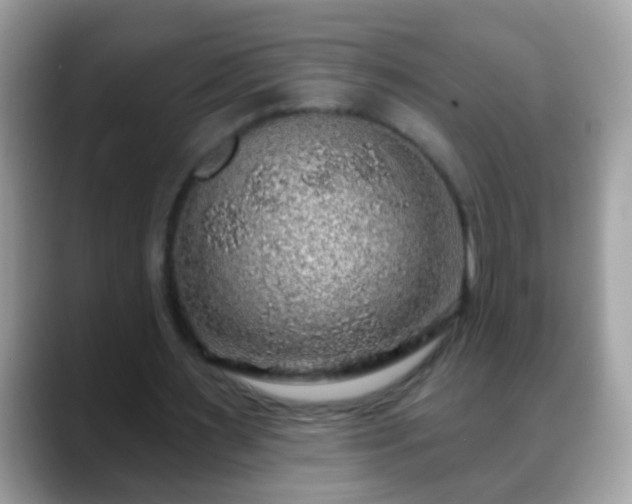 X0000088630483200706011147