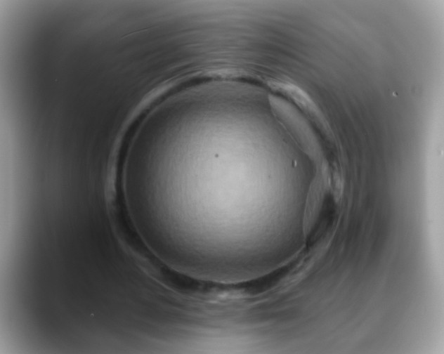 X0000088630484200706011147