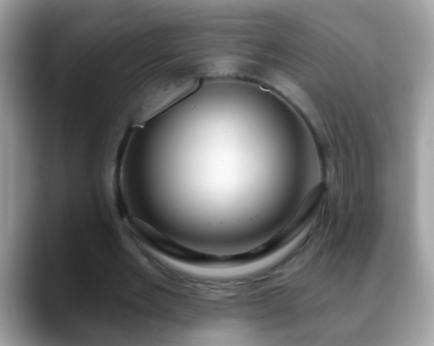 X0000088630485200706011147