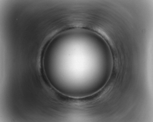 X0000088630486200706011147