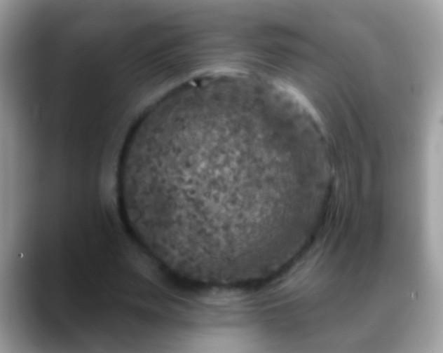 X0000088630487200706011147