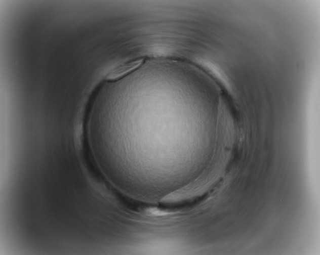 X0000088630488200706011147