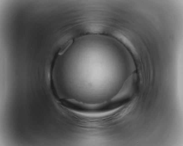 X0000088630493200706011147