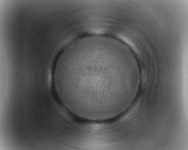 X0000088630494200706011147