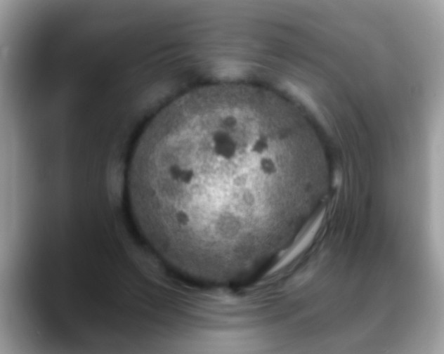 X0000088630495200706011147