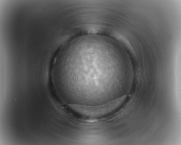 X0000088630496200706011147