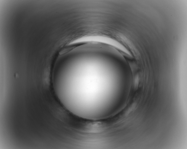 X0000088630497200706011147