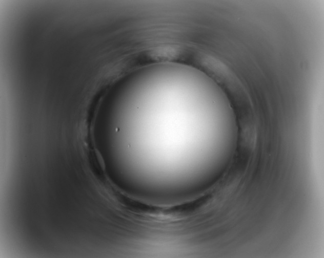 X0000088630498200706011147