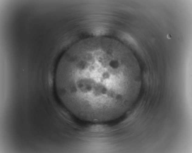 X0000088630499200706011147