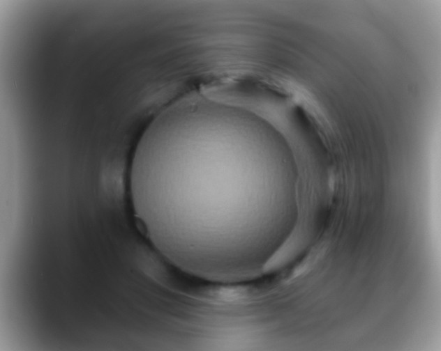 X0000088630501200706011147