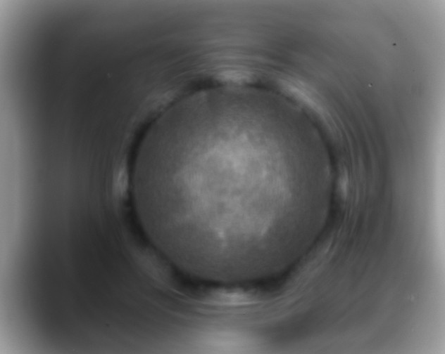 X0000088630502200706011147