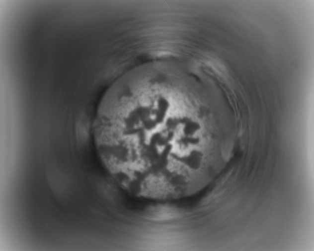 X0000088630503200706011147