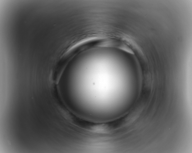 X0000088630505200706011147