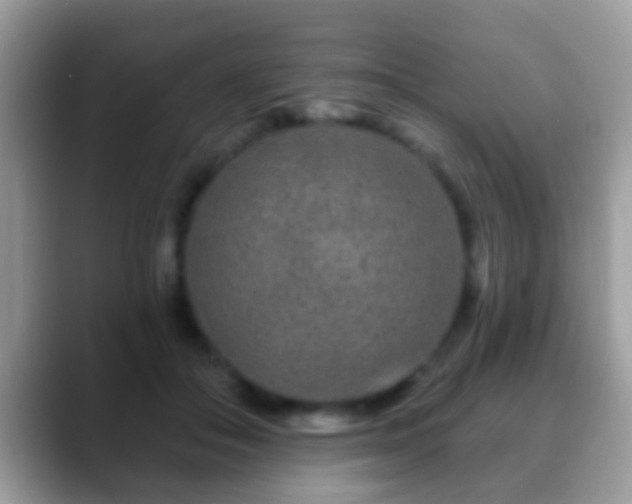 X0000088630506200706011147