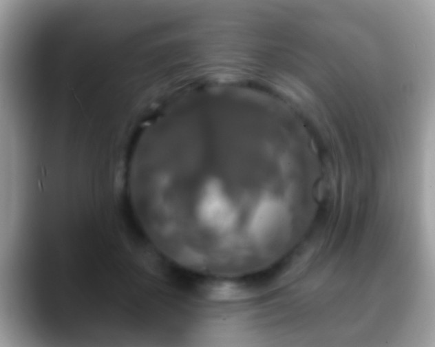 X0000088630507200706011147