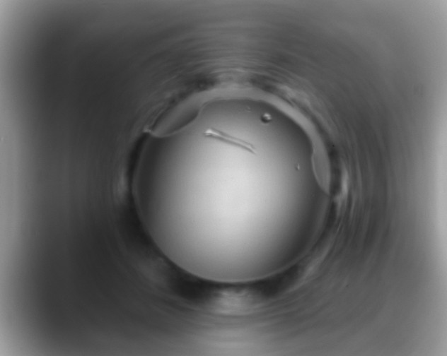 X0000088630508200706011147