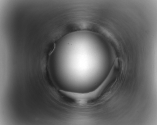 X0000088630509200706011147