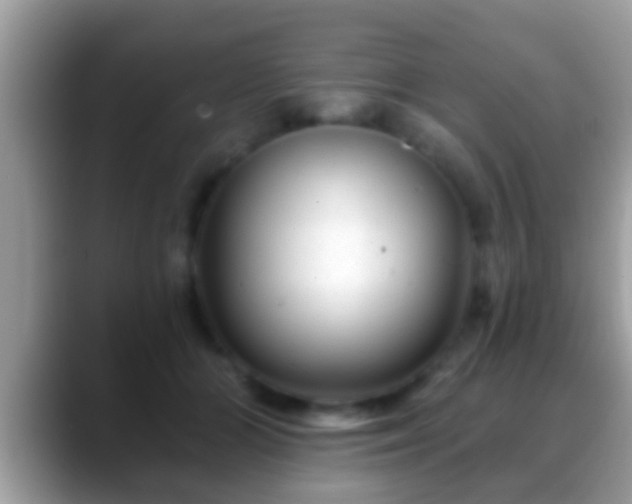 X0000088630510200706011147