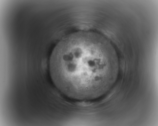 X0000088630511200706011147