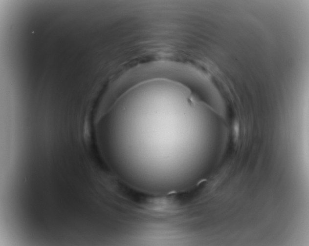 X0000088630516200706011147