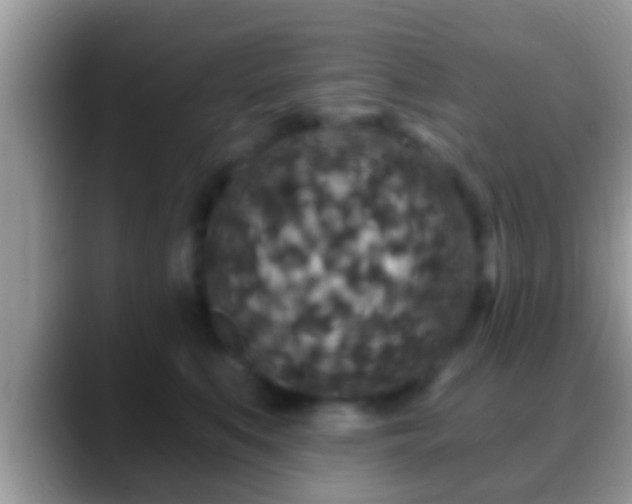 X0000088630519200706011147