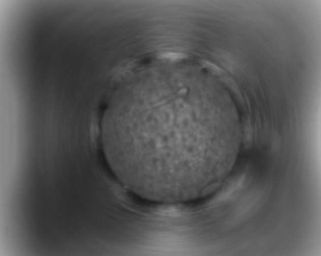 X0000088630523200706011147