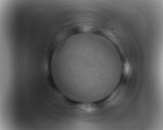 X0000088630524200706011147