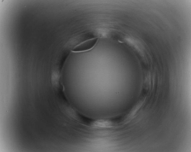 X0000088630526200706011147