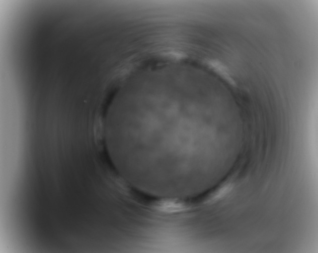 X0000088630528200706011147