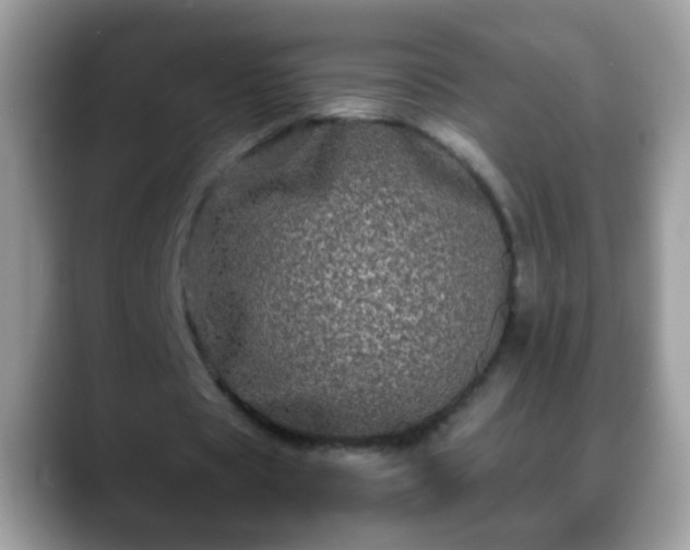 X0000088630529200706011146