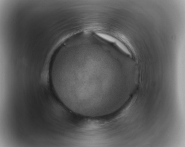 X0000088630531200706011146