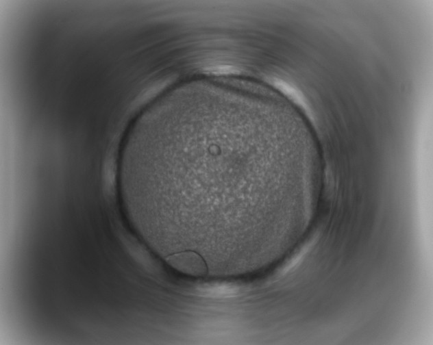 X0000088630533200706011146