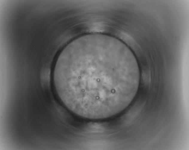 X0000088630534200706011146