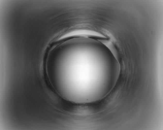 X0000088630535200706011146