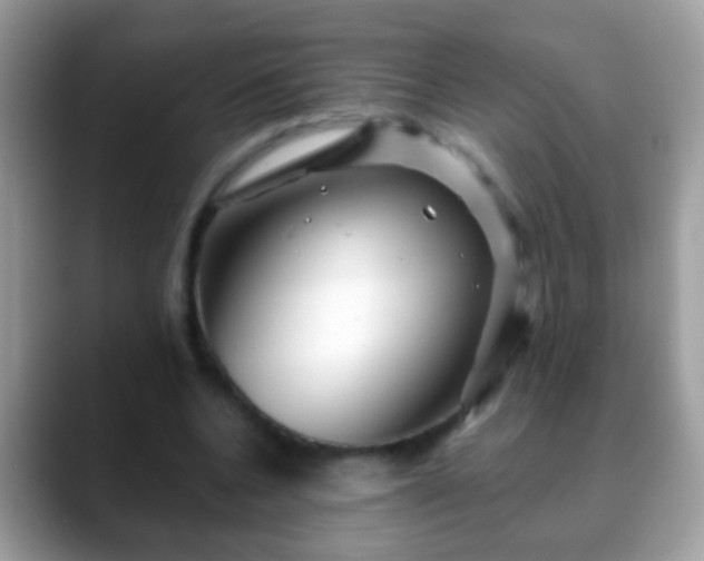 X0000088630536200706011146