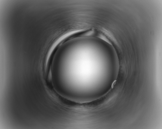 X0000088630538200706011146