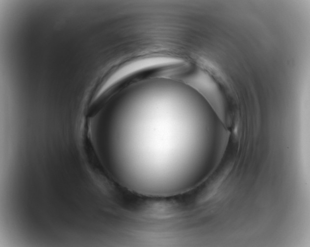 X0000088630540200706011146