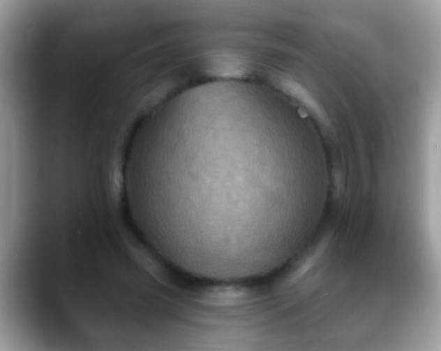 X0000088630541200706011146