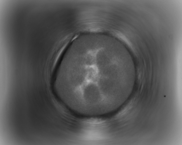 X0000088630542200706011146