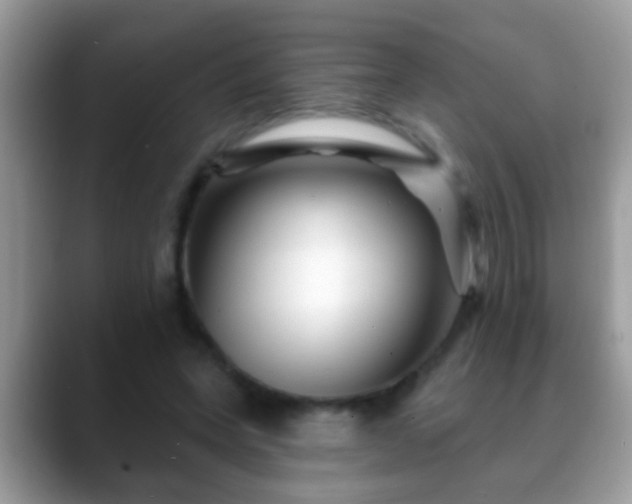 X0000088630543200706011146