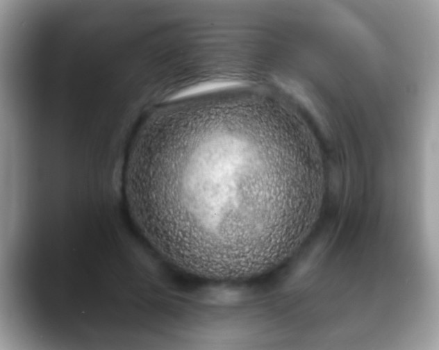 X0000088630545200706011146