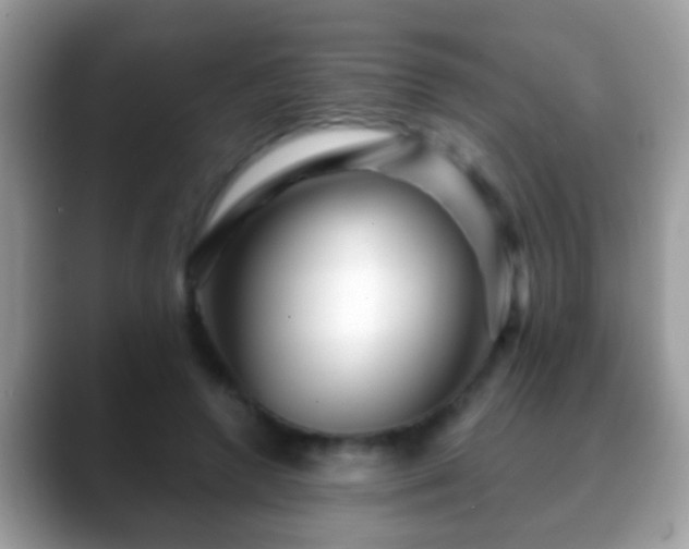 X0000088630546200706011146