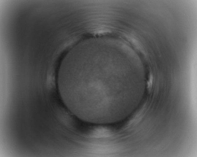 X0000088630547200706011146